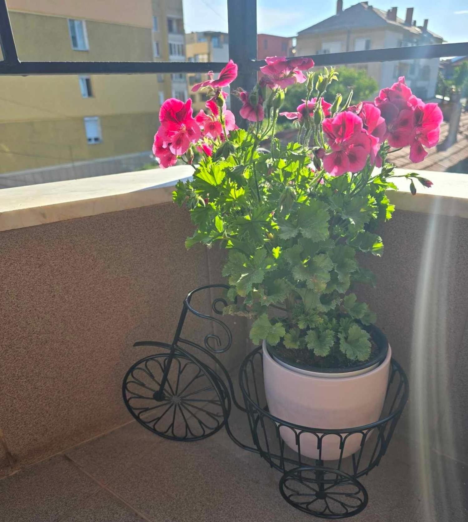 Luxury City Centre Appartment Iva Sliven 외부 사진